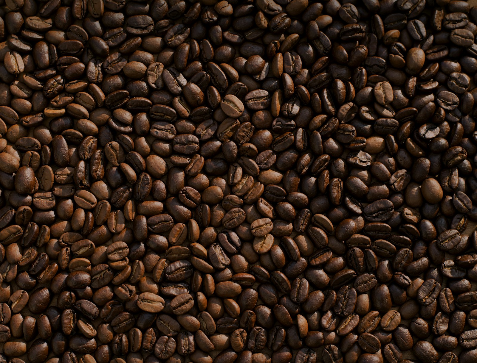 Cascara tea cup