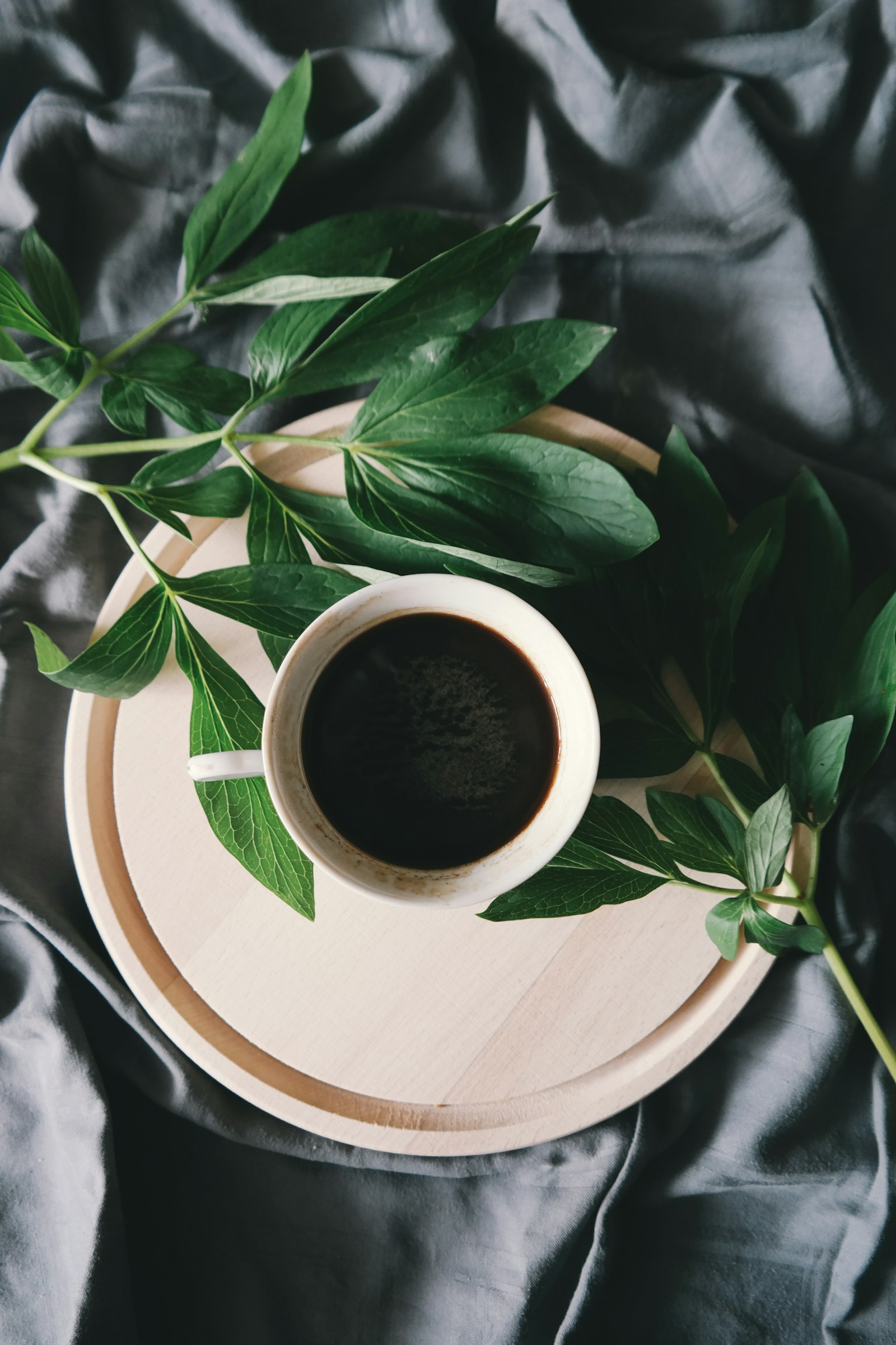 Variety of coffee beans