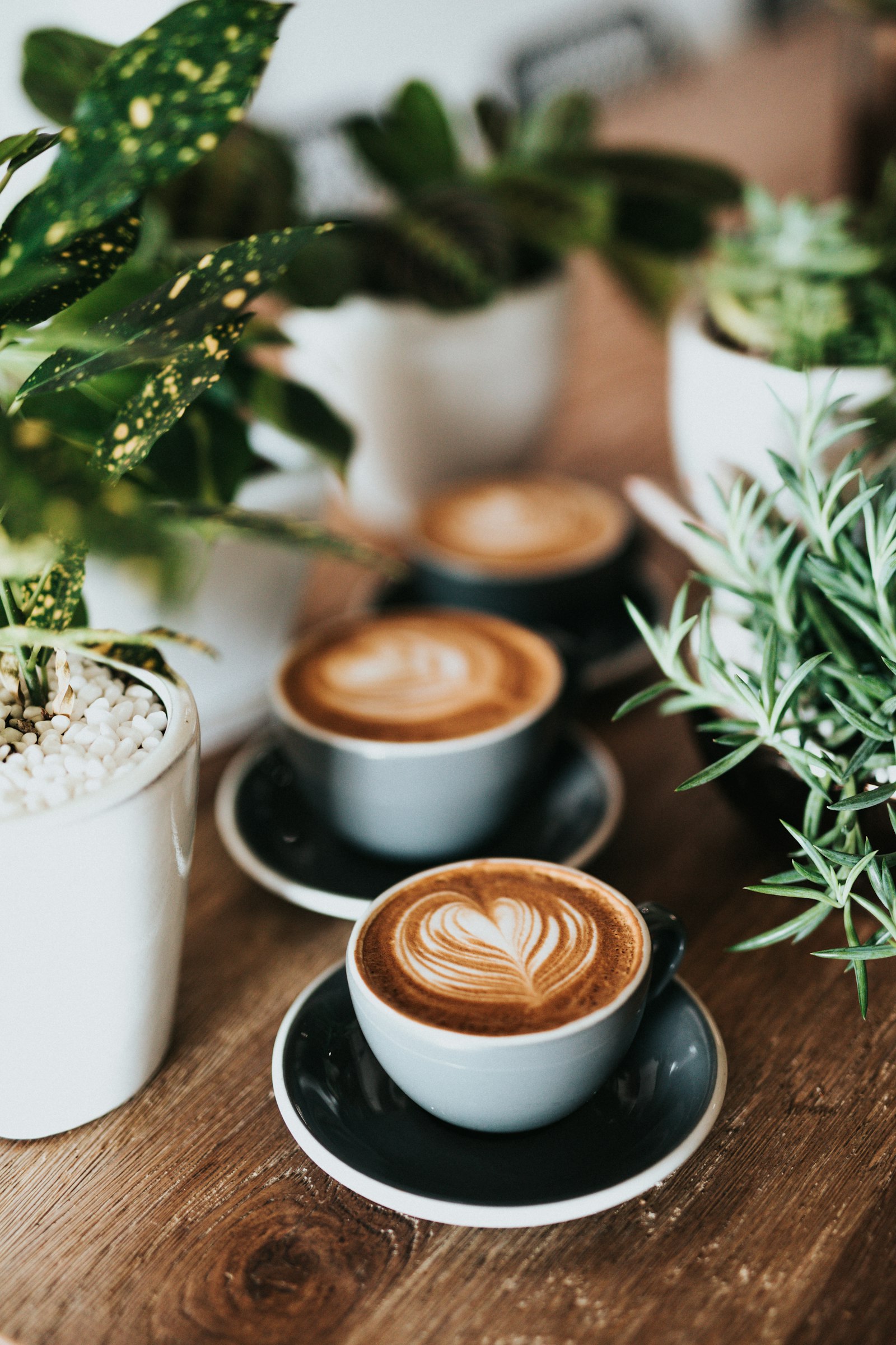 Espresso shot